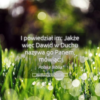 Picture 05 - Mateusza 22:43 POLUBG - I powiedział im: Jakże więc Dawid w Duchu - Bible Verse Picture