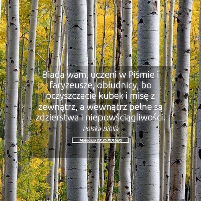 Picture 05 - Mateusza 23:25 POLUBG - Biada wam, uczeni w Piśmie i faryzeusze, - Bible Verse Picture