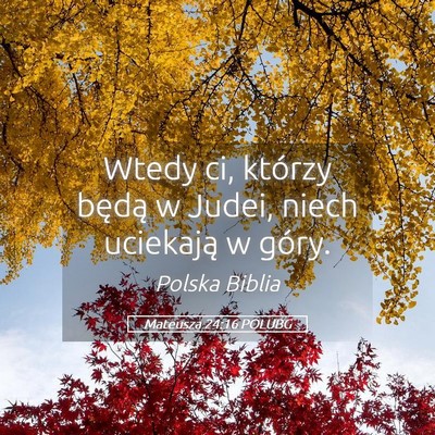 Picture 05 - Mateusza 24:16 POLUBG - Wtedy ci, którzy będą w Judei, niech uciekają - Bible Verse Picture