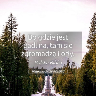 Picture 05 - Mateusza 24:28 POLUBG - Bo gdzie jest padlina, tam się zgromadzą i - Bible Verse Picture
