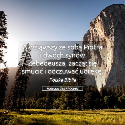 Picture 05 - Mateusza 26:37 POLUBG - A wziąwszy ze sobą Piotra i dwóch synów - Bible Verse Picture