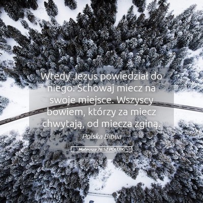 Picture 05 - Mateusza 26:52 POLUBG - Wtedy Jezus powiedział do niego: Schowaj miecz - Bible Verse Picture