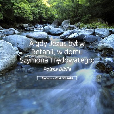 Picture 05 - Mateusza 26:6 POLUBG - A gdy Jezus był w Betanii, w domu Szymona - Bible Verse Picture