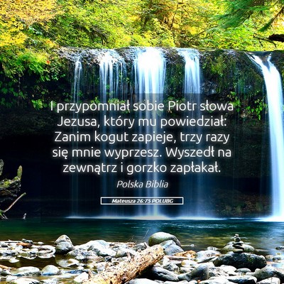 Picture 05 - Mateusza 26:75 POLUBG - I przypomniał sobie Piotr słowa Jezusa, który - Bible Verse Picture