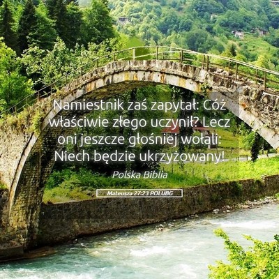 Picture 05 - Mateusza 27:23 POLUBG - Namiestnik zaś zapytał: Cóż właściwie - Bible Verse Picture