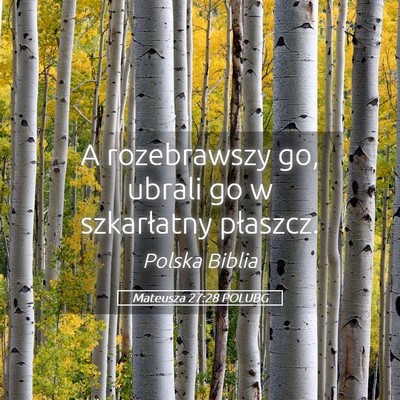 Picture 05 - Mateusza 27:28 POLUBG - A rozebrawszy go, ubrali go w szkarłatny - Bible Verse Picture