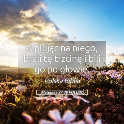 Picture 05 - Mateusza 27:30 POLUBG - A plując na niego, brali tę trzcinę i bili go - Bible Verse Picture