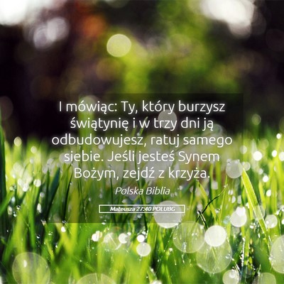 Picture 05 - Mateusza 27:40 POLUBG - I mówiąc: Ty, który burzysz świątynię i w - Bible Verse Picture