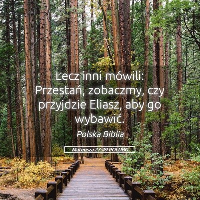 Picture 05 - Mateusza 27:49 POLUBG - Lecz inni mówili: Przestań, zobaczmy, czy - Bible Verse Picture