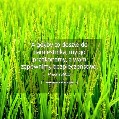 Picture 05 - Mateusza 28:14 POLUBG - A gdyby to doszło do namiestnika, my go - Bible Verse Picture