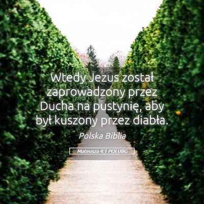 Picture 05 - Mateusza 4:1 POLUBG - Wtedy Jezus został zaprowadzony przez Ducha na - Bible Verse Picture