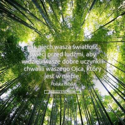 Picture 05 - Mateusza 5:16 POLUBG - Tak niech wasza światłość świeci przed - Bible Verse Picture
