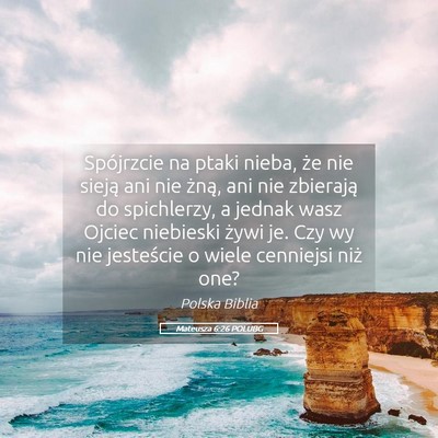 Picture 05 - Mateusza 6:26 POLUBG - Spójrzcie na ptaki nieba, że nie sieją ani nie - Bible Verse Picture