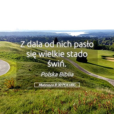 Picture 05 - Mateusza 8:30 POLUBG - Z dala od nich pasło się wielkie stado - Bible Verse Picture