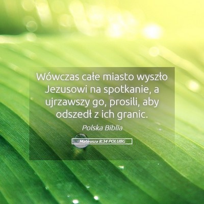 Picture 05 - Mateusza 8:34 POLUBG - Wówczas całe miasto wyszło Jezusowi na - Bible Verse Picture