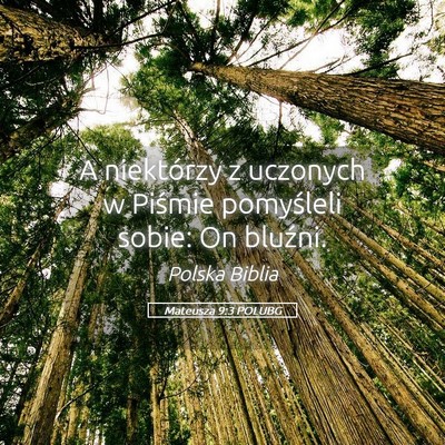 Picture 05 - Mateusza 9:3 POLUBG - A niektórzy z uczonych w Piśmie pomyśleli - Bible Verse Picture