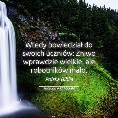 Picture 05 - Mateusza 9:37 POLUBG - Wtedy powiedział do swoich uczniów: Żniwo - Bible Verse Picture