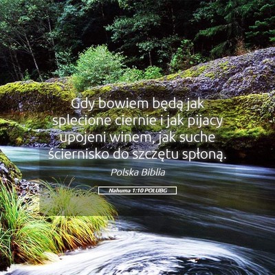 Picture 05 - Nahuma 1:10 POLUBG - Gdy bowiem będą jak splecione ciernie i jak - Bible Verse Picture