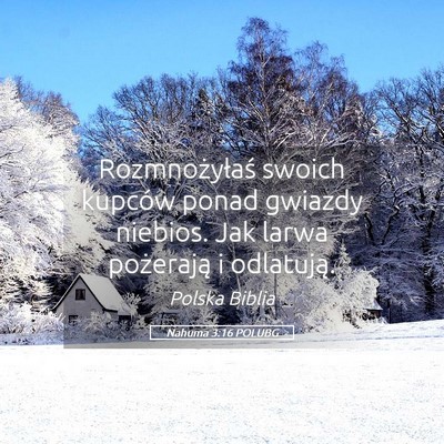 Picture 05 - Nahuma 3:16 POLUBG - Rozmnożyłaś swoich kupców ponad gwiazdy - Bible Verse Picture