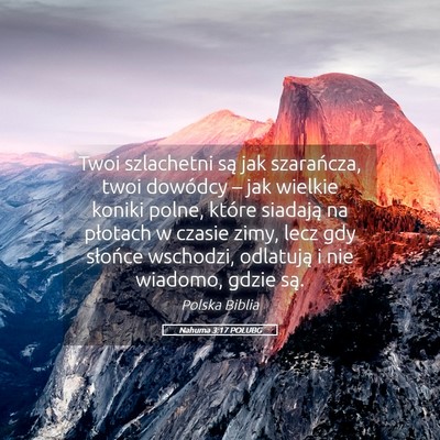 Picture 05 - Nahuma 3:17 POLUBG - Twoi szlachetni są jak szarańcza, twoi dowódcy - Bible Verse Picture