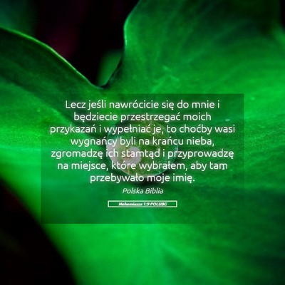 Picture 05 - Nehemiasza 1:9 POLUBG - Lecz jeśli nawrócicie się do mnie i będziecie - Bible Verse Picture