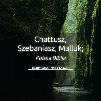 Picture 05 - Nehemiasza 10:4 POLUBG - Chattusz, Szebaniasz, - Bible Verse Picture