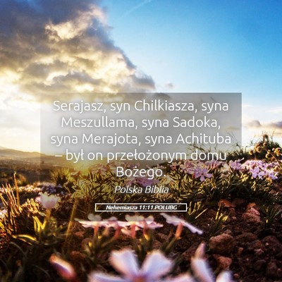 Picture 05 - Nehemiasza 11:11 POLUBG - Serajasz, syn Chilkiasza, syna Meszullama, syna - Bible Verse Picture