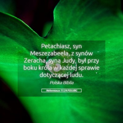 Picture 05 - Nehemiasza 11:24 POLUBG - Petachiasz, syn Meszezabeela, z synów Zeracha, - Bible Verse Picture