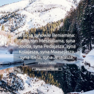 Picture 05 - Nehemiasza 11:7 POLUBG - A to są synowie Beniamina: Sallu, syn - Bible Verse Picture