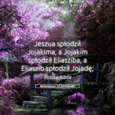 Picture 05 - Nehemiasza 12:10 POLUBG - Jeszua spłodził Jojakima, a Jojakim spłodził - Bible Verse Picture
