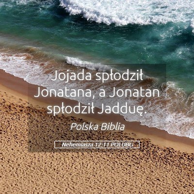Picture 05 - Nehemiasza 12:11 POLUBG - Jojada spłodził Jonatana, a Jonatan spłodził - Bible Verse Picture