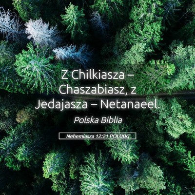 Picture 05 - Nehemiasza 12:21 POLUBG - Z Chilkiasza – Chaszabiasz, z Jedajasza – - Bible Verse Picture