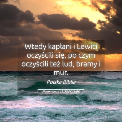 Picture 05 - Nehemiasza 12:30 POLUBG - Wtedy kapłani i Lewici oczyścili się, po czym - Bible Verse Picture