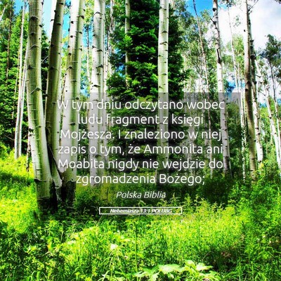 Picture 05 - Nehemiasza 13:1 POLUBG - W tym dniu odczytano wobec ludu fragment z - Bible Verse Picture