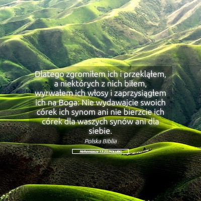 Picture 05 - Nehemiasza 13:25 POLUBG - Dlatego zgromiłem ich i przekląłem, a - Bible Verse Picture