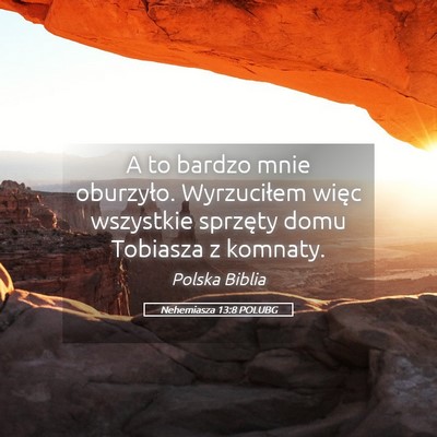 Picture 05 - Nehemiasza 13:8 POLUBG - A to bardzo mnie oburzyło. Wyrzuciłem więc - Bible Verse Picture