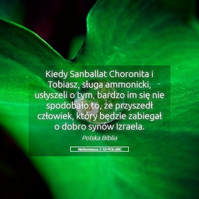Picture 05 - Nehemiasza 2:10 POLUBG - Kiedy Sanballat Choronita i Tobiasz, sługa - Bible Verse Picture