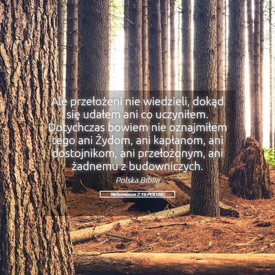 Picture 05 - Nehemiasza 2:16 POLUBG - Ale przełożeni nie wiedzieli, dokąd się - Bible Verse Picture