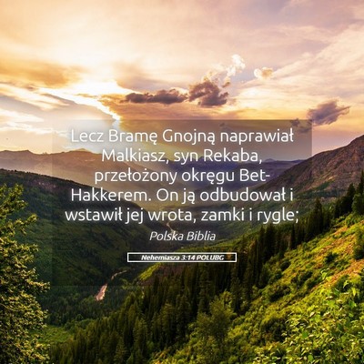 Picture 05 - Nehemiasza 3:14 POLUBG - Lecz Bramę Gnojną naprawiał Malkiasz, syn - Bible Verse Picture