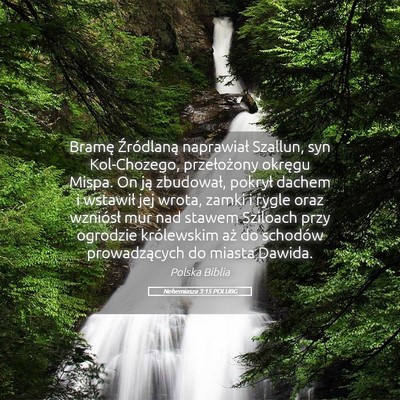 Picture 05 - Nehemiasza 3:15 POLUBG - Bramę Źródlaną naprawiał Szallun, syn - Bible Verse Picture