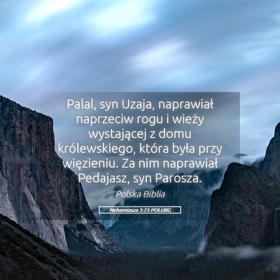 Picture 05 - Nehemiasza 3:25 POLUBG - Palal, syn Uzaja, naprawiał naprzeciw rogu i - Bible Verse Picture