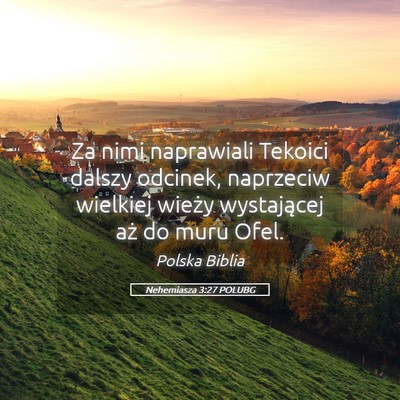 Picture 05 - Nehemiasza 3:27 POLUBG - Za nimi naprawiali Tekoici dalszy odcinek, - Bible Verse Picture