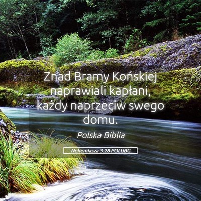Picture 05 - Nehemiasza 3:28 POLUBG - Znad Bramy Końskiej naprawiali kapłani, każdy - Bible Verse Picture
