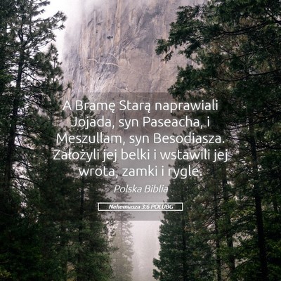 Picture 05 - Nehemiasza 3:6 POLUBG - A Bramę Starą naprawiali Jojada, syn Paseacha, - Bible Verse Picture
