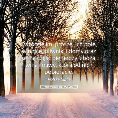 Picture 05 - Nehemiasza 5:11 POLUBG - Zwróćcie im, proszę, ich pole, winnice, - Bible Verse Picture