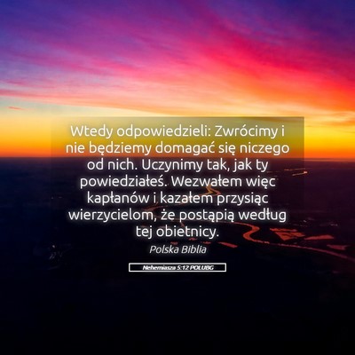 Picture 05 - Nehemiasza 5:12 POLUBG - Wtedy odpowiedzieli: Zwrócimy i nie będziemy - Bible Verse Picture