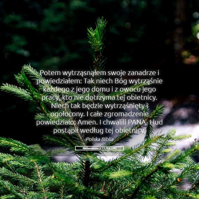Picture 05 - Nehemiasza 5:13 POLUBG - Potem wytrząsnąłem swoje zanadrze i - Bible Verse Picture