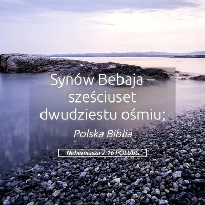 Picture 05 - Nehemiasza 7:16 POLUBG - Synów Bebaja – sześciuset dwudziestu - Bible Verse Picture