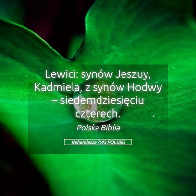 Picture 05 - Nehemiasza 7:43 POLUBG - Lewici: synów Jeszuy, Kadmiela, z synów Hodwy - Bible Verse Picture
