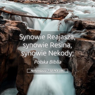 Picture 05 - Nehemiasza 7:50 POLUBG - Synowie Reajasza, synowie Resina, synowie - Bible Verse Picture